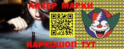 стаф Бердск