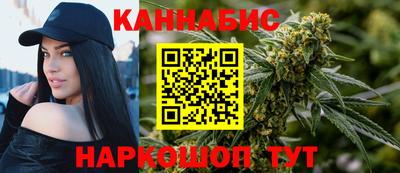 стаф Бердск