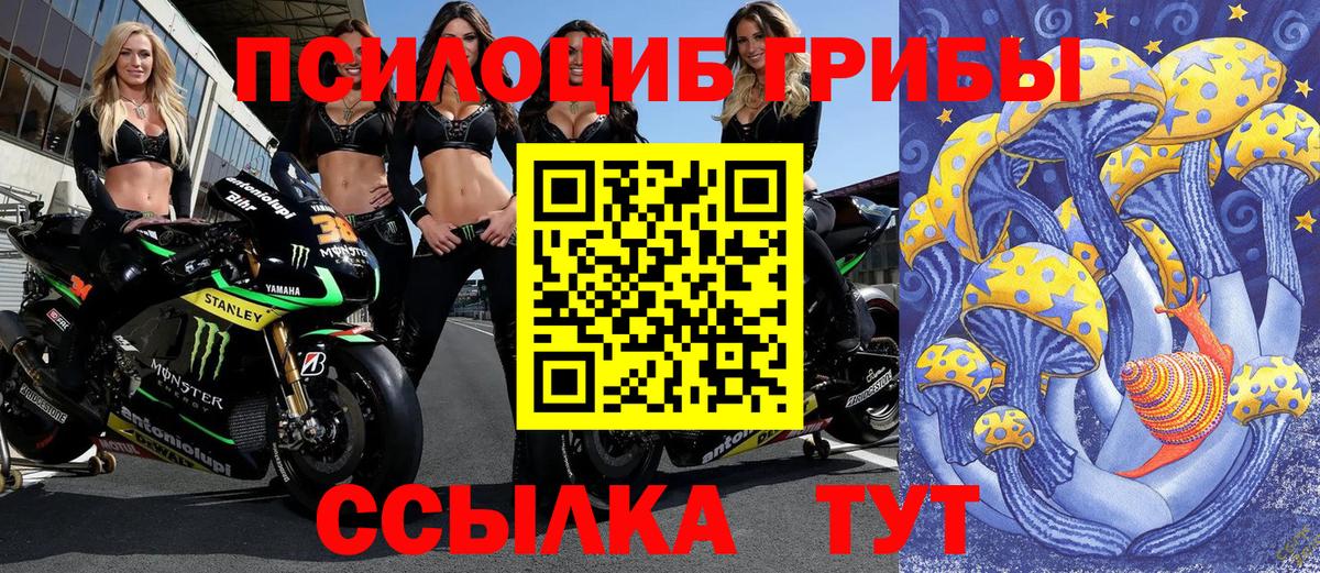 Гусев  где продают   Вход с VPN  Псилоцибиновые грибы MAGIC MUSHROOMS  Псилоцибиновые грибы мухоморы 